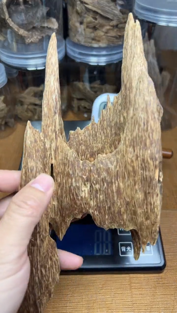 【闪购商品】沉香熏香《都蓬》+刀