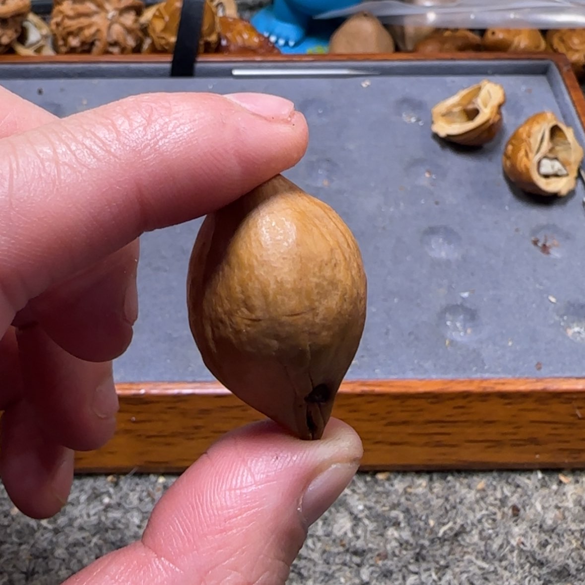 【闪购商品】橄榄核吊坠佳*