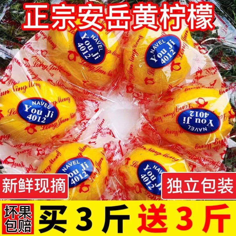【大杨】安岳黄柠檬鲜果薄皮鲜柠檬多规格黄柠檬奶茶店专用无籽柠