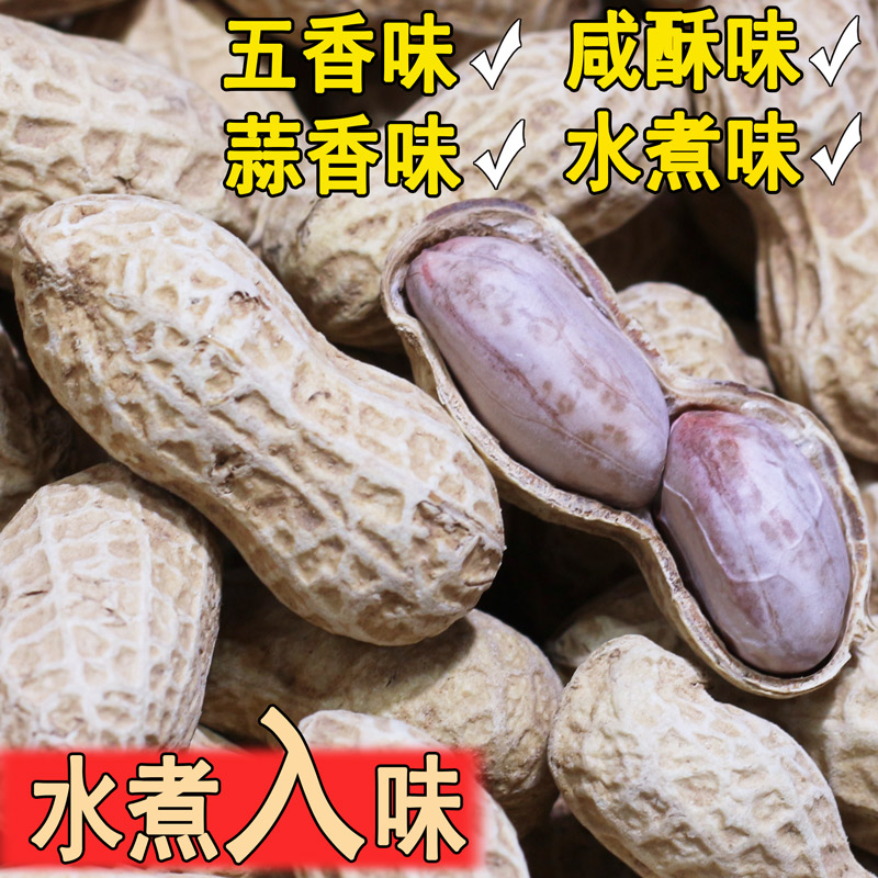 龙岩花生蒜香五香咸干盐水白晒湿烤水煮花生米带壳炒货零食熟