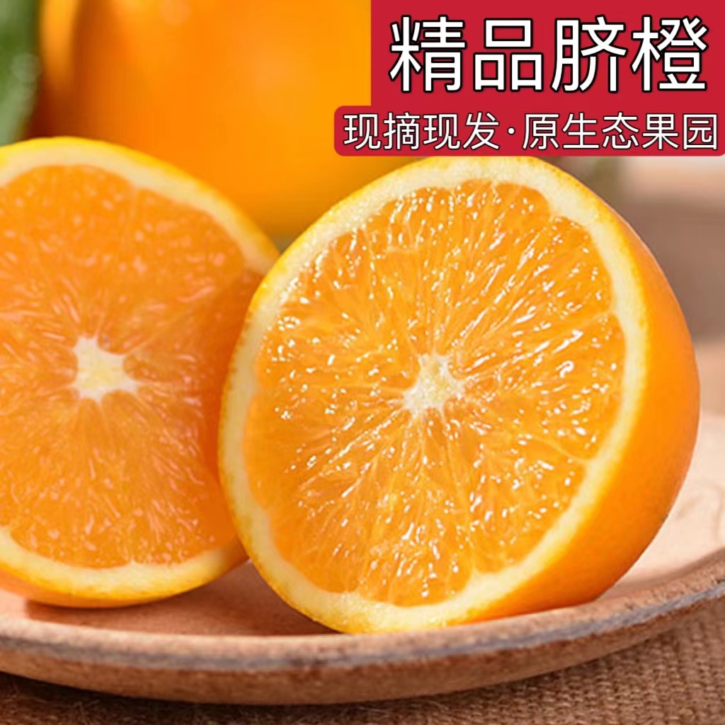精品脐橙应季水果自然成熟香甜新鲜采摘产地直发果园直供