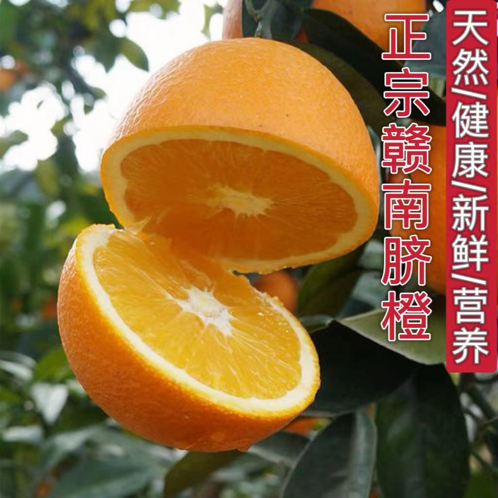 10斤中果/大果正宗赣南脐橙精品橙子多汁应季水果自然成熟新鲜采Z