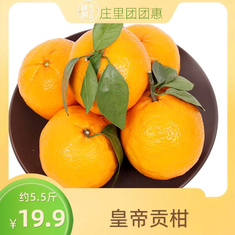 皇帝贡柑1箱5.5斤