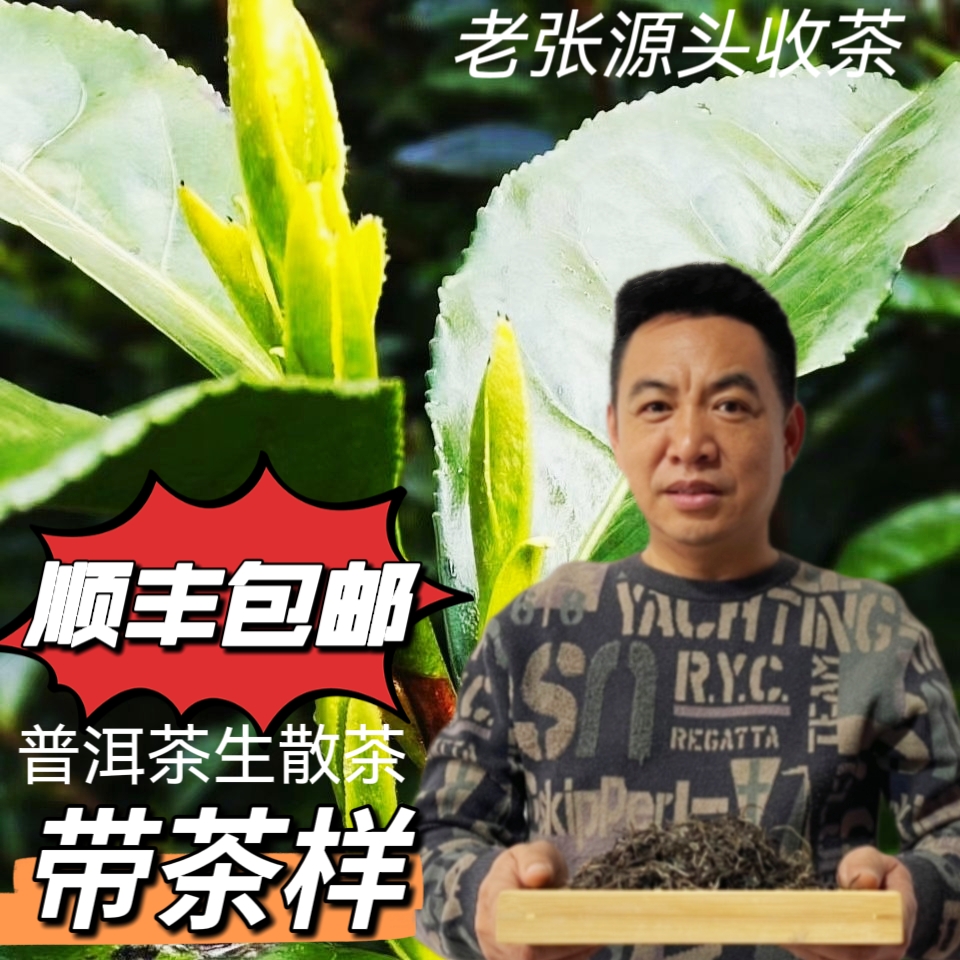 茶农389号2023年龙潭箐古树单株生茶500g散茶带茶样树龄500年左右