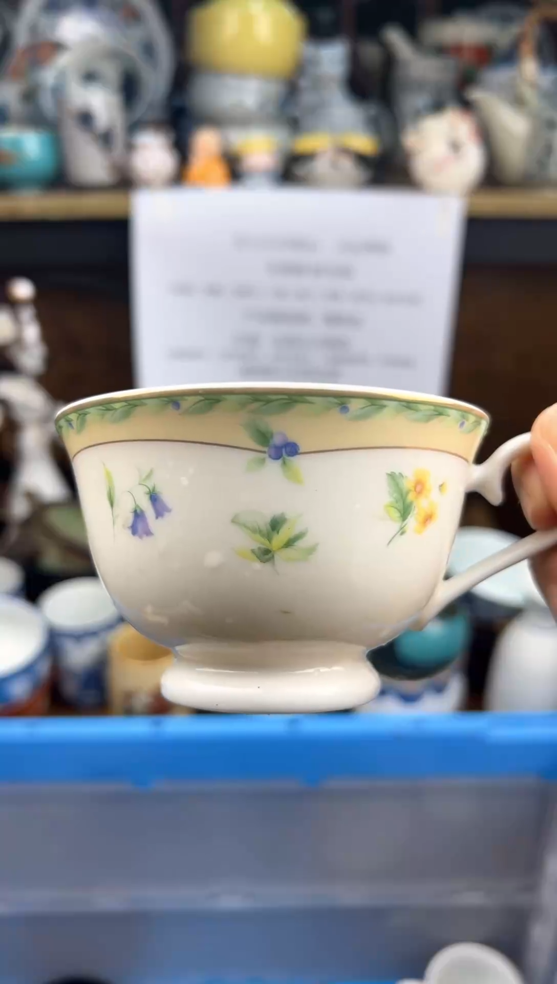 【闪购商品】陶瓷只买不看