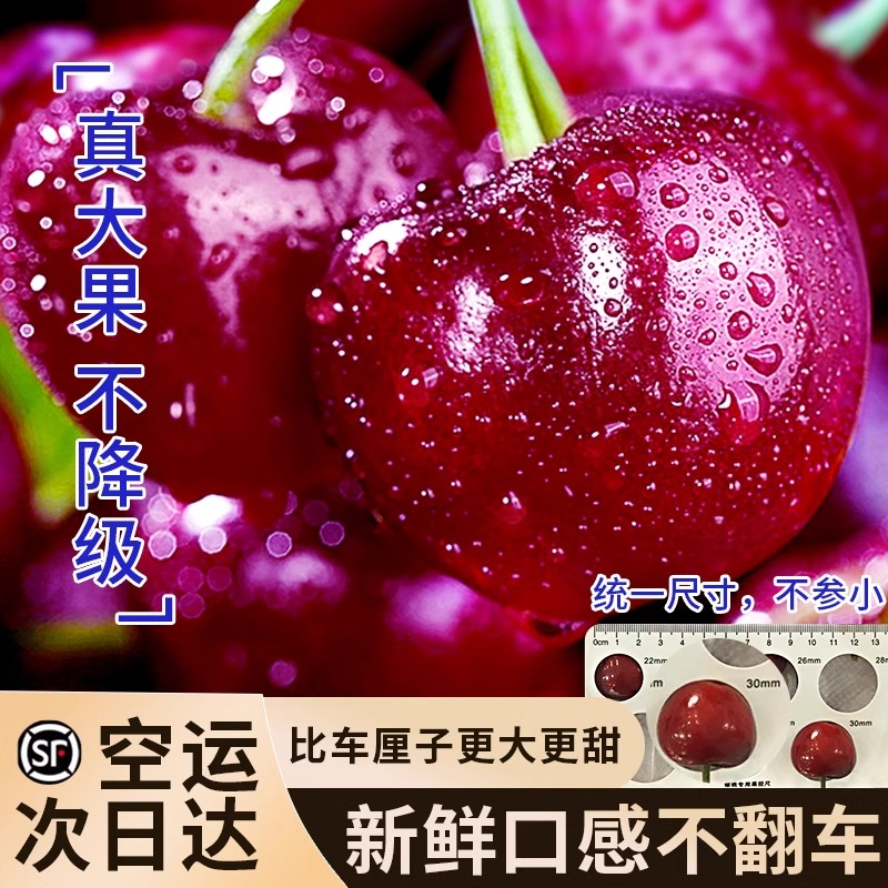 【现货速发】智利空运直达车厘子送礼/孕妇/新鲜/多汁/售后无忧送礼