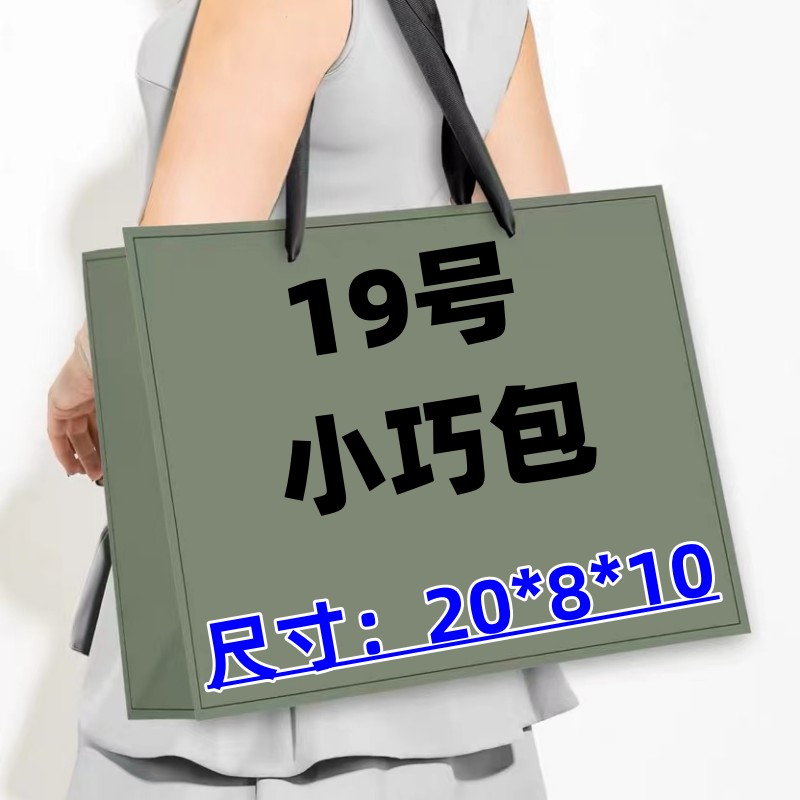 《19号》 时尚潮流气质百搭经典小巧包