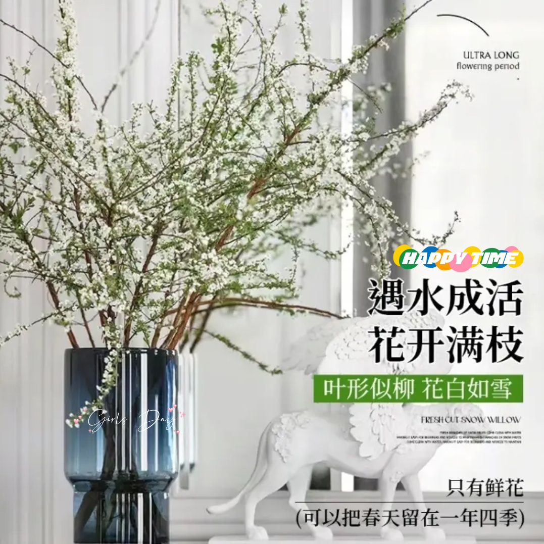 雪柳鲜枝干枝支盆栽水养插花水培植物室内花卉好养活绿植遇水开花