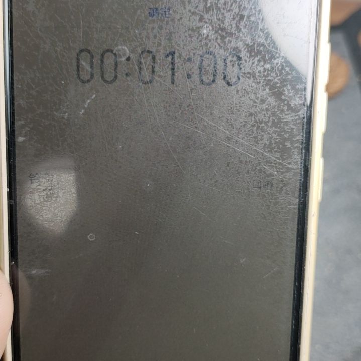【闪购商品】文玩核桃把件?**?
