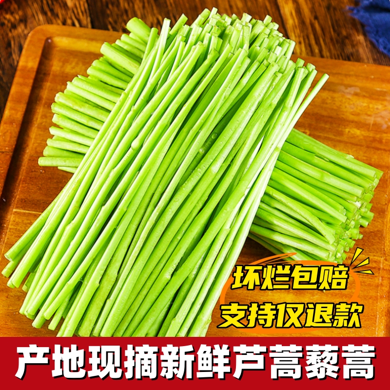 农家自种精选蔬菜嫩芦蒿杆子藜蒿黎蒿去叶老根净菜柳泥蒿野菜新鲜