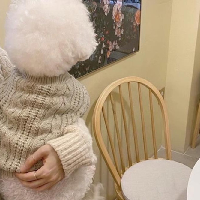 秋冬新款狗狗毛衣泰迪比熊博美小型犬宠物猫咪衣服手工针织短款