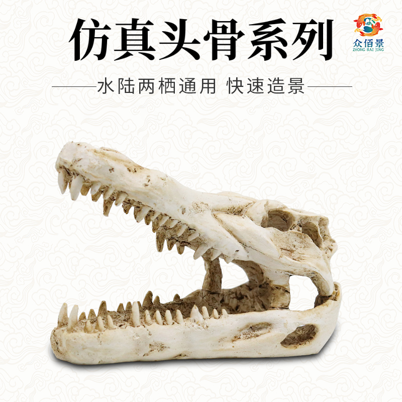 鱼缸造景恐龙头骨乌龟蜥蜴躲避洞爬虫动物仓鼠躲避屋仿真树脂摆件
