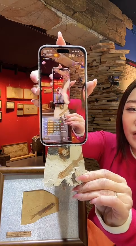 【闪购商品】书法001