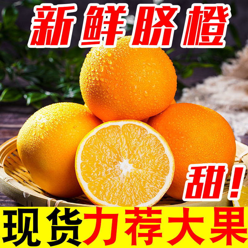 【抢购中】正宗江西赣南脐橙1/5/9斤新鲜天然水果采摘现发赣州直发