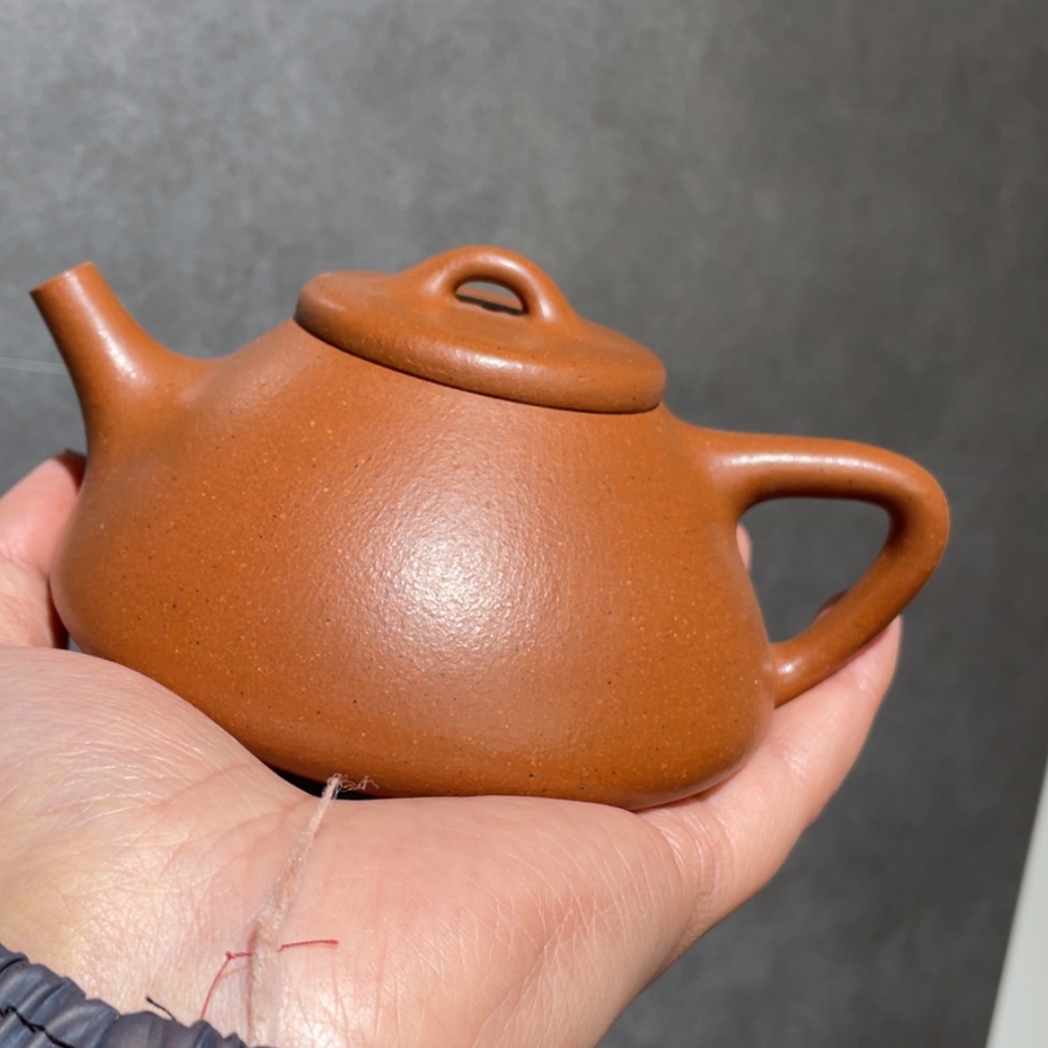 【闪购商品】紫砂茶壶
