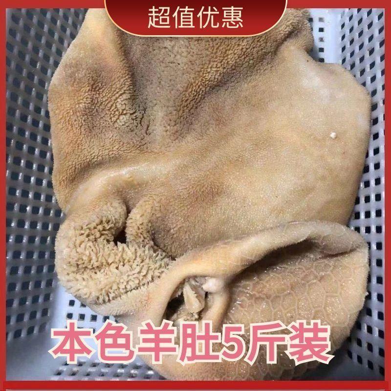 整个新鲜羊肚羊杂纯羊肚半熟成品冷冻商用冻毛肚肚包肉批发包邮