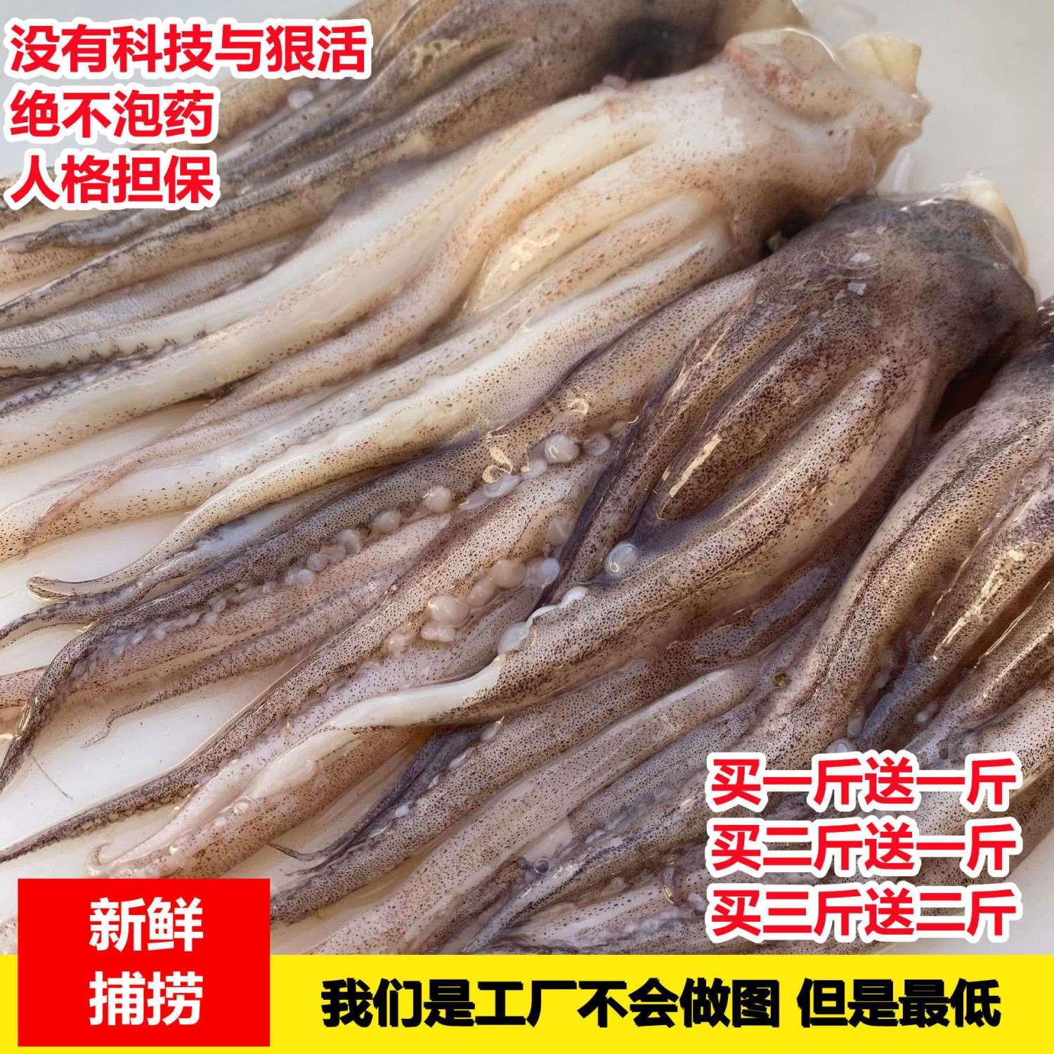 鱿鱼须新鲜现切八爪鱼商用烧烤专用二本足小号鱿鱼头冷冻鱿鱼爪