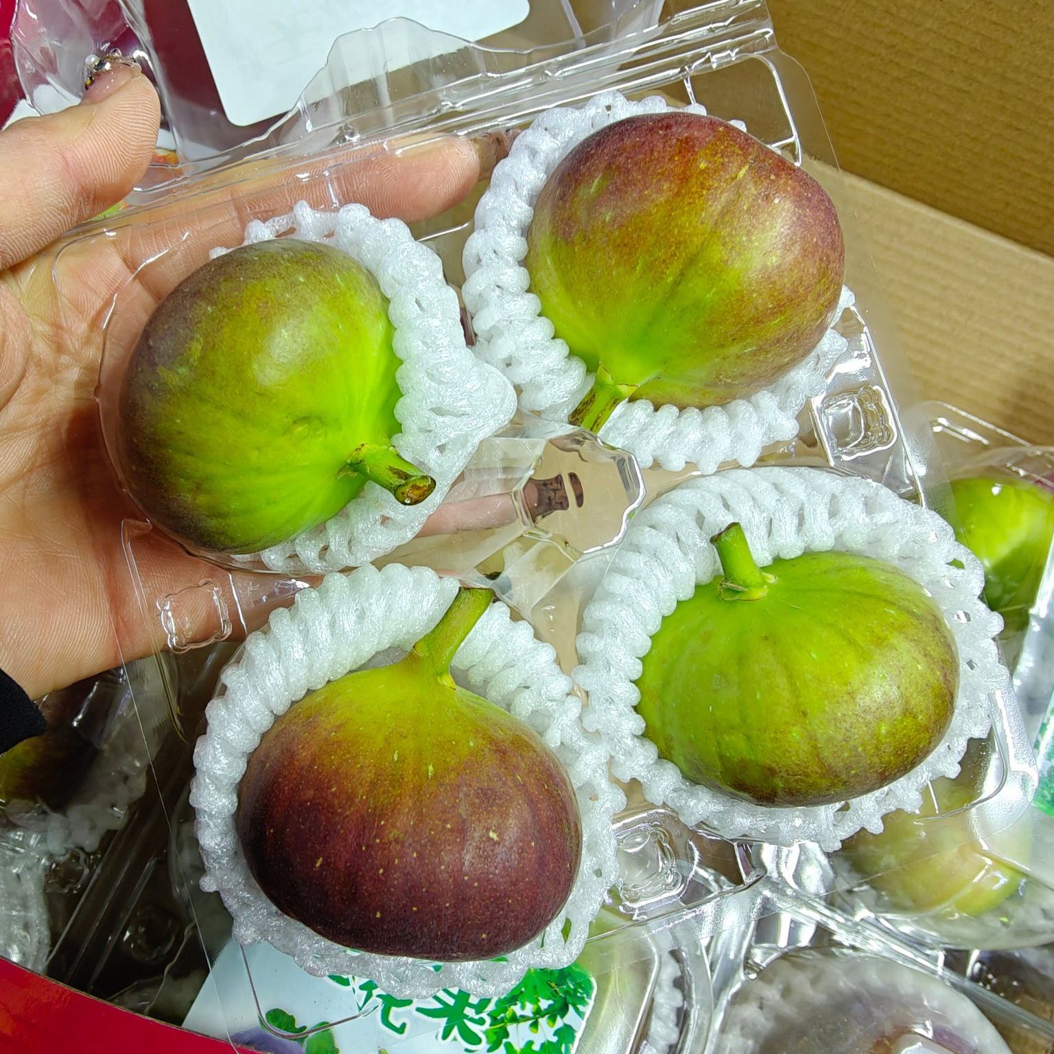 甜~软、糯、香肉质细腻，香甜绵软，颠覆口感的软糯