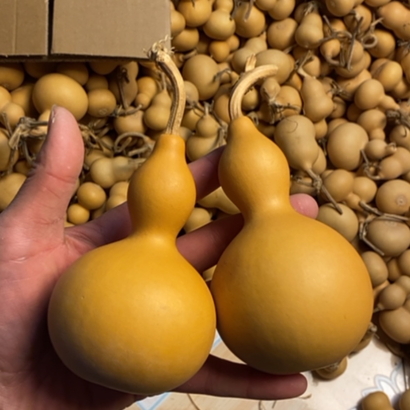 【闪购商品】天然葫芦