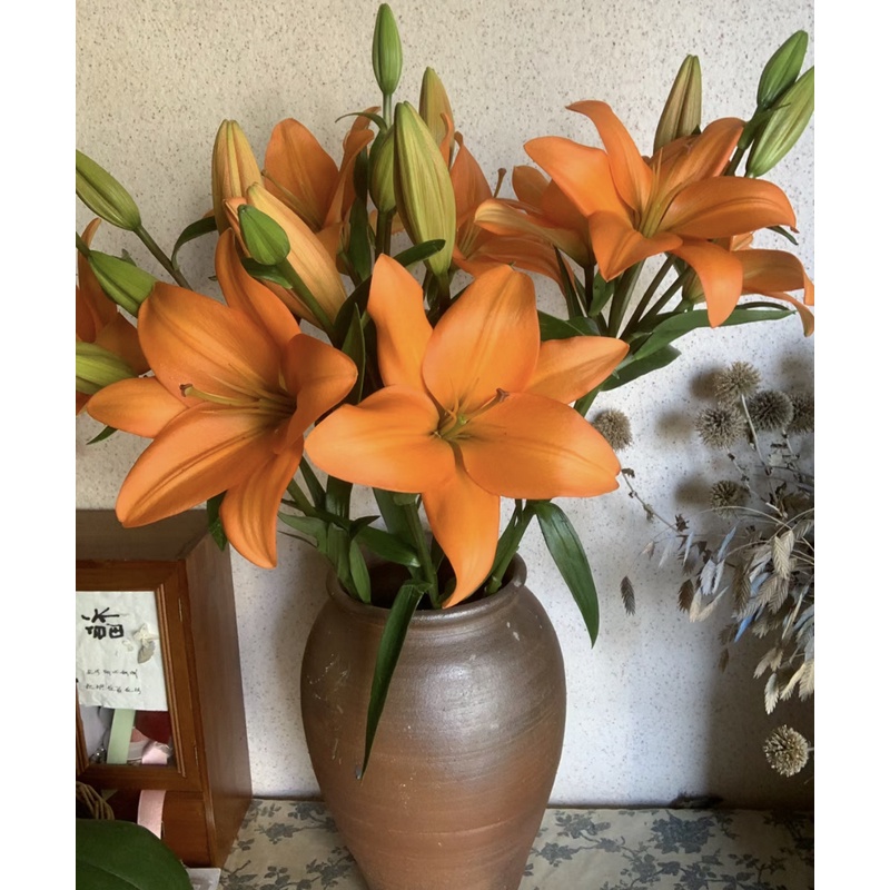 橙色梦想百合 浪漫鲜花  产地直发 低温地区未拍保温棉冻坏不售后