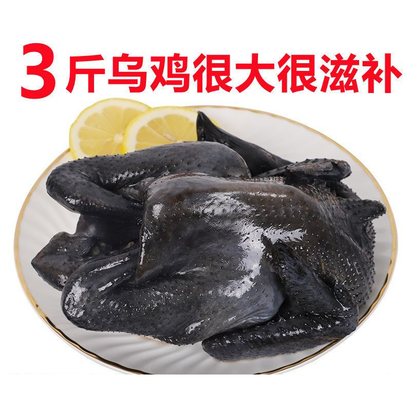 【1.4-3斤滋补乌鸡】散养乌骨鸡土鸡现杀笨鸡月子鸡草鸡鸡肉整只