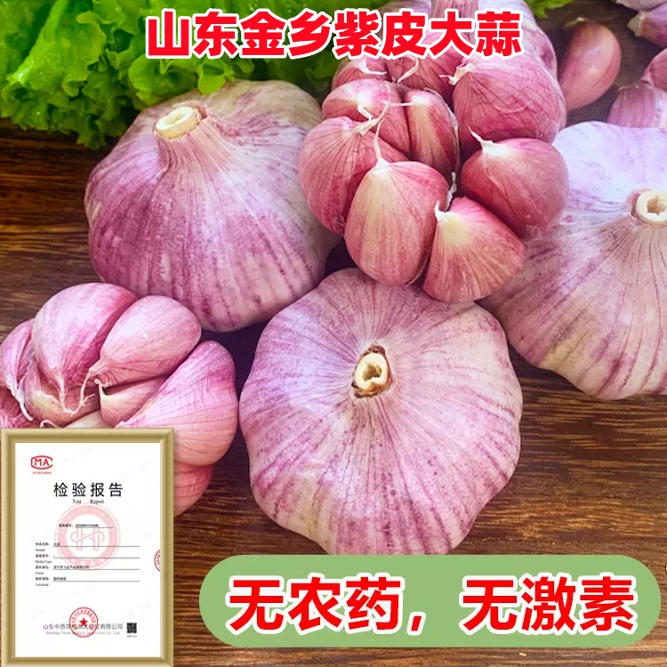 【新店冲量】精选金乡大蒜头2023新干蒜5斤坏果包赔可吃可种