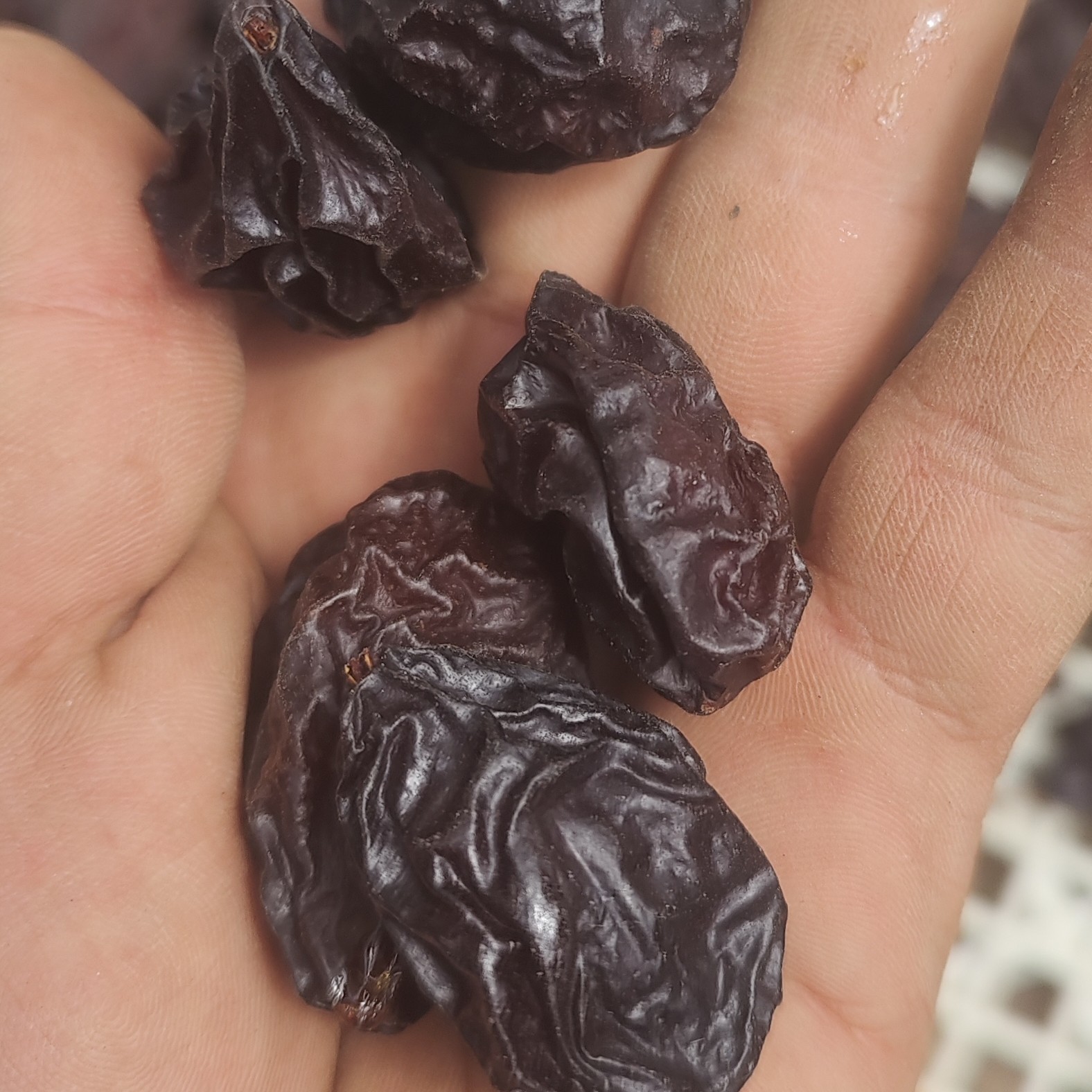 新疆喀什法兰西西梅工