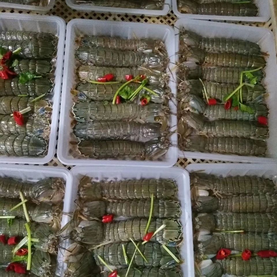 皮皮虾 腌制皮皮虾 虾爬子  濑尿虾开盒即食 丹东特产爬虾