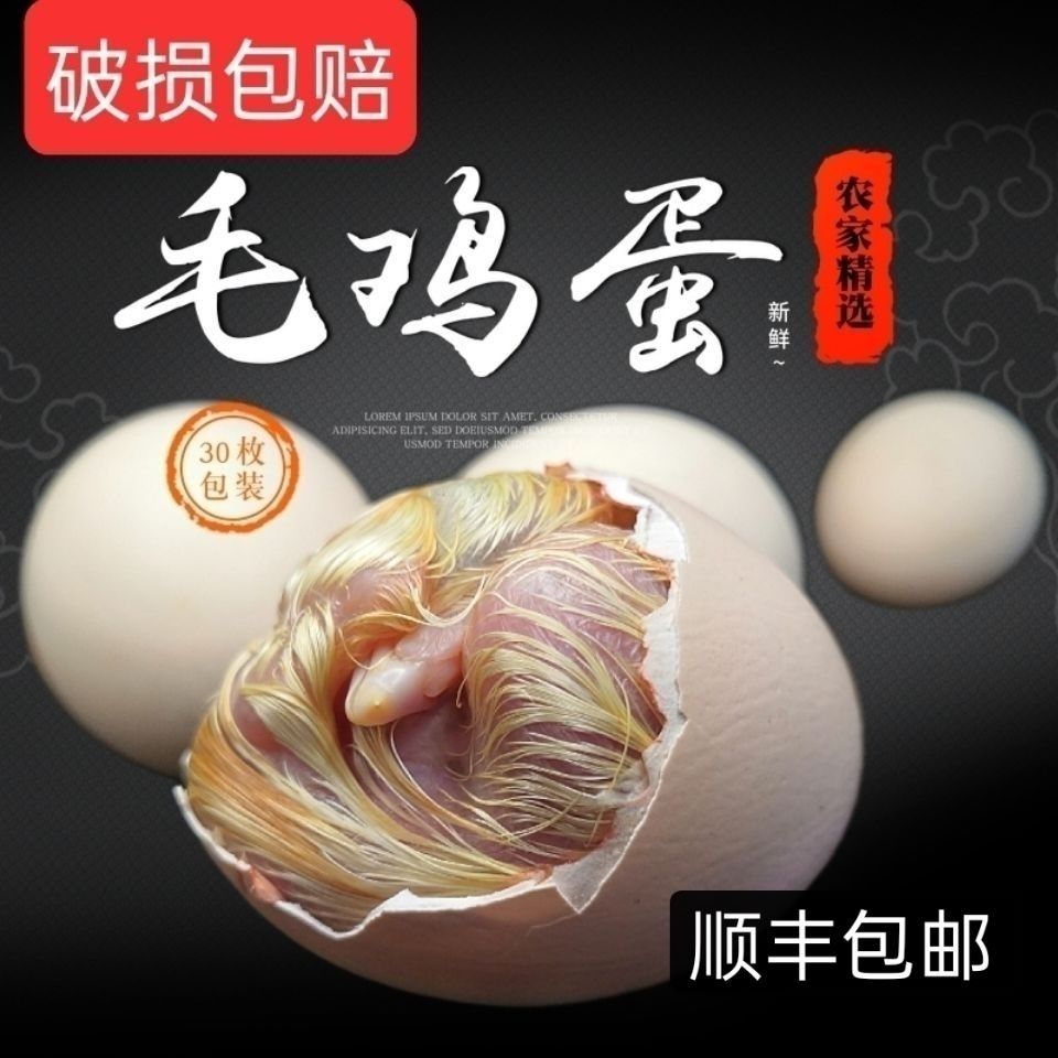 新鲜毛蛋生毛鸡蛋 19-21天鸡胚蛋喜蛋旺鸡蛋实蛋食用农家产品10枚