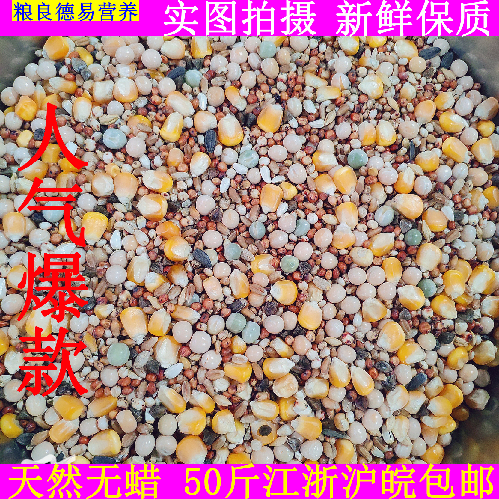 粮良德易A级鸽粮有玉米营养赛飞饲料信观赏鸽子粮食鸟食50斤包邮