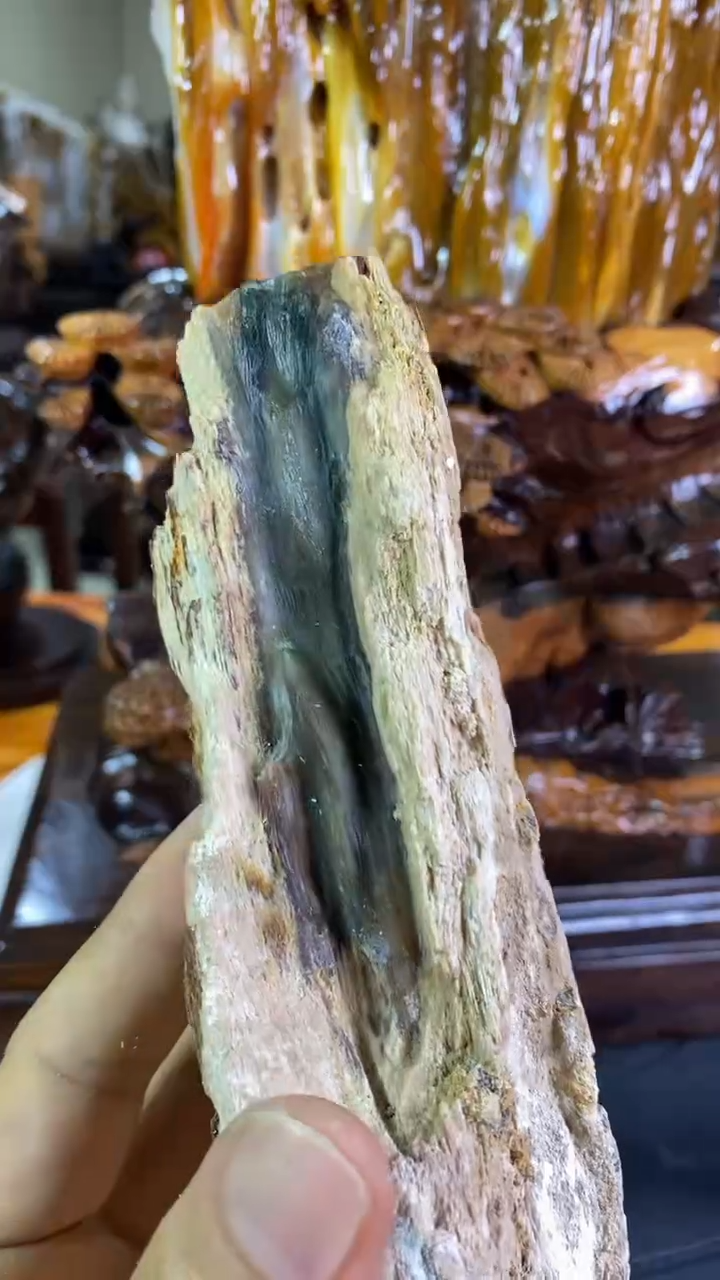 【闪购商品】硅化玉珠宝奇石未镶嵌1