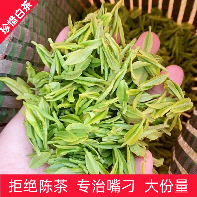 2023新茶浙江正宗高山绿茶茶叶春茶正宗安吉特产珍惜白茶茶农直销