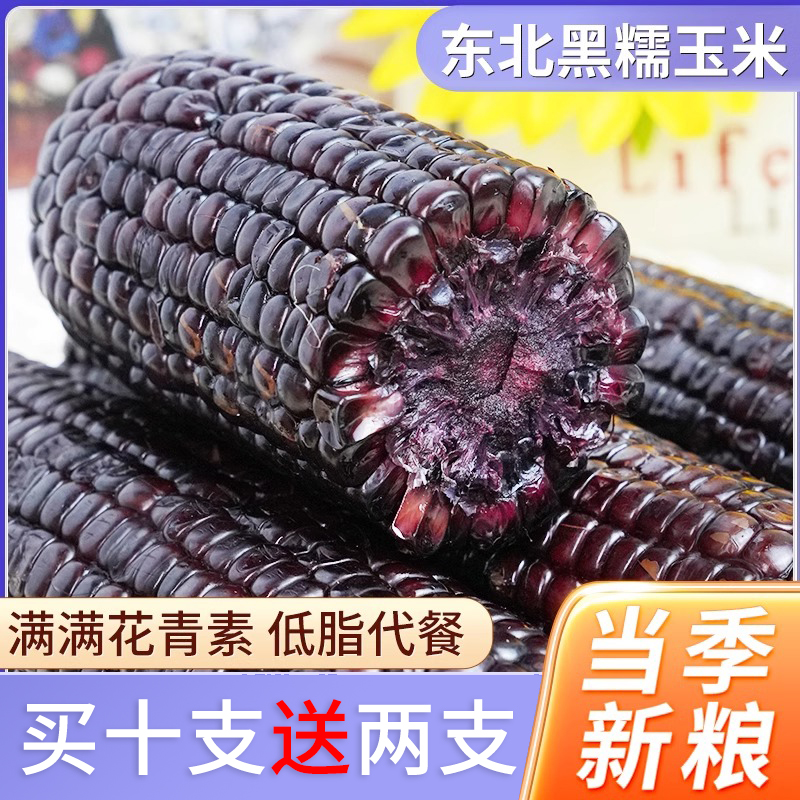 【精选宝宝糯】东北黑玉米香甜软糯铝箔小黑糯买10支送2支（整箱4斤）