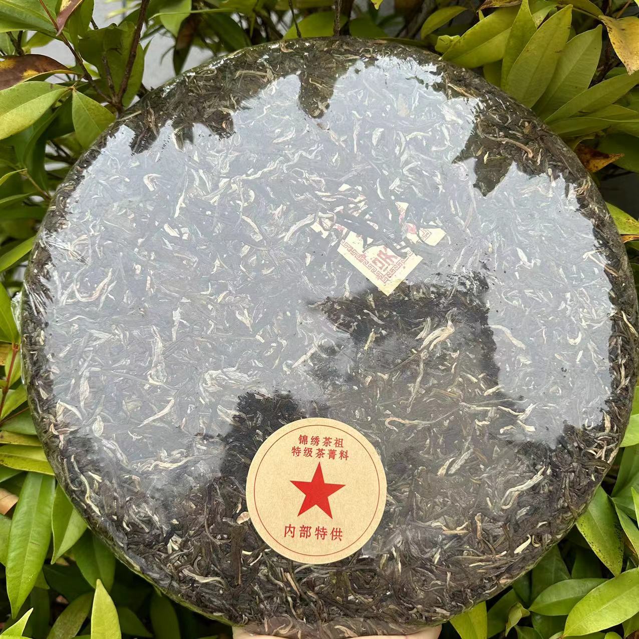 雨腾古茶  吴氏特供红星锦绣茶祖古树普洱茶3000g/饼 生茶