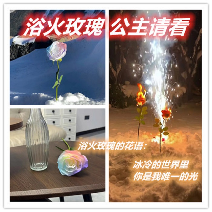 【西域曼陀罗】浴火玫瑰网红同款仿真玫瑰冬天的浪漫给女友的小惊喜