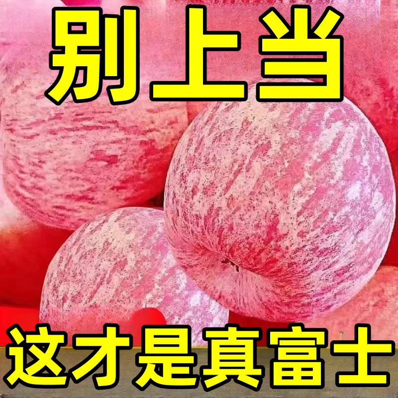 【一人领一箱】正宗山东烟台栖霞红富士苹果应季水果新鲜9/5/3斤