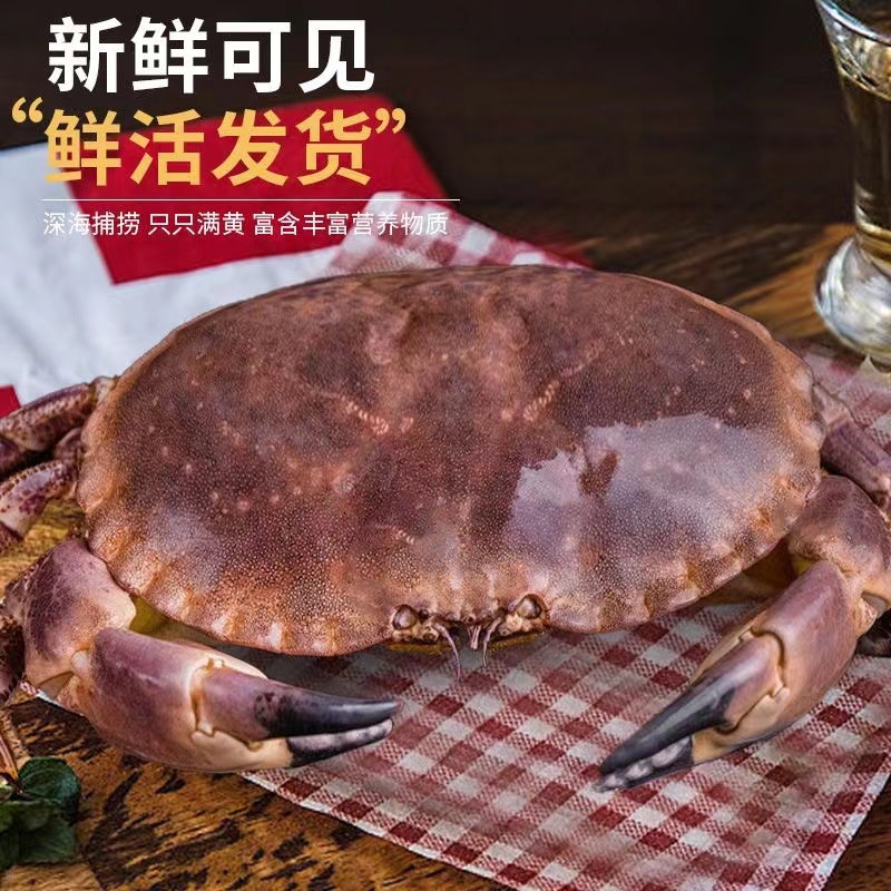 2面包蟹 活发保鲜不保活 水产英格兰特超大海水梭子肉螃蟹精品满