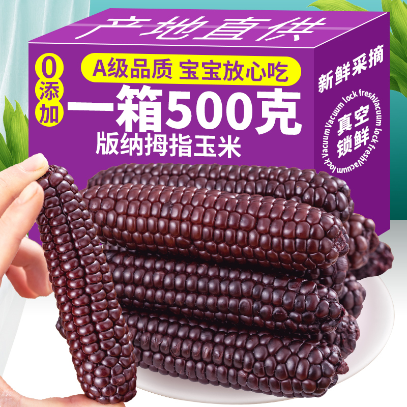 西双版纳糯玉米黑玉米新鲜采摘真空包装非转基因甜糯营养食用方便
