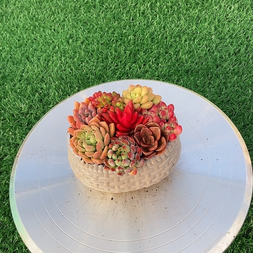【闪购商品】点赞一万