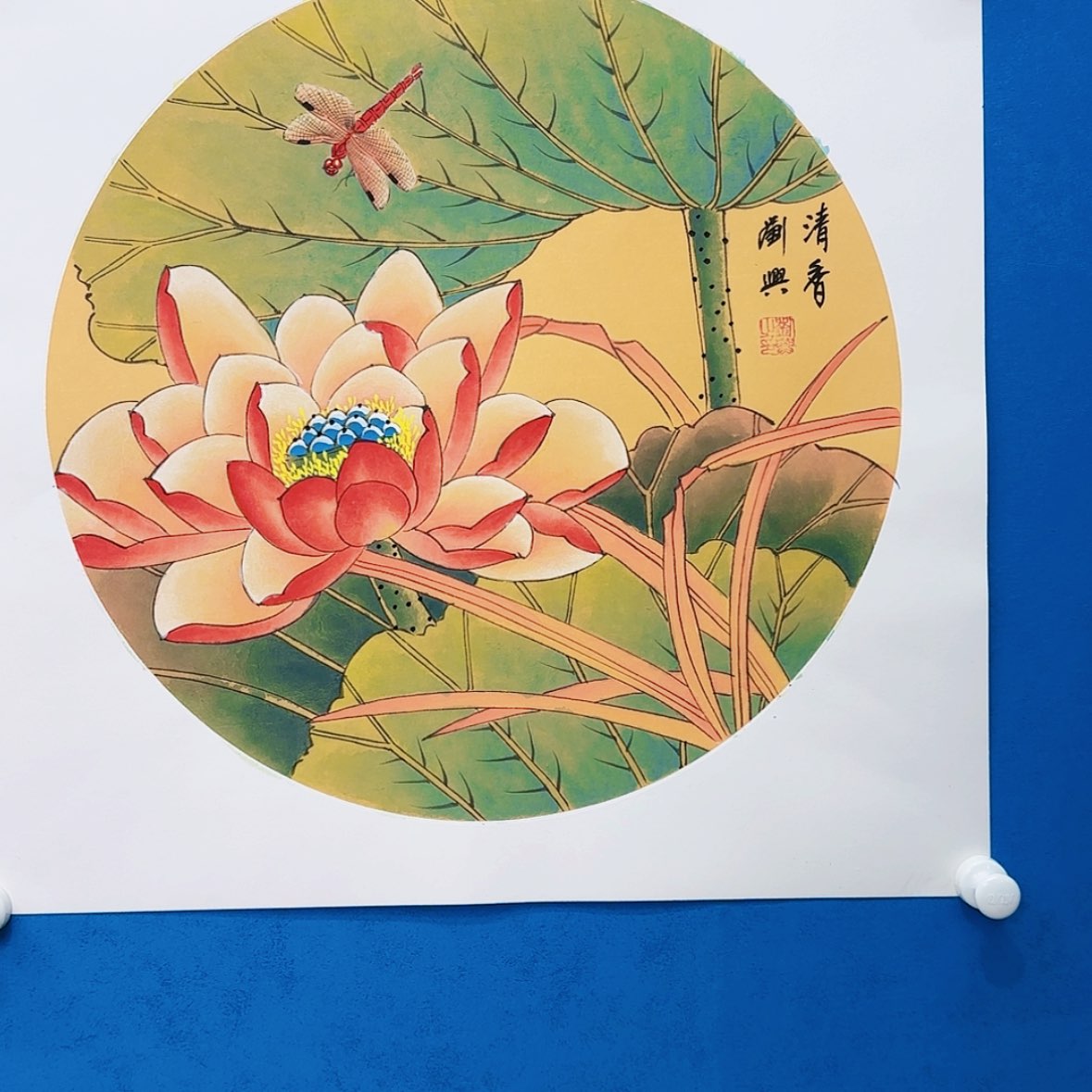 【闪购商品】绘画抖音