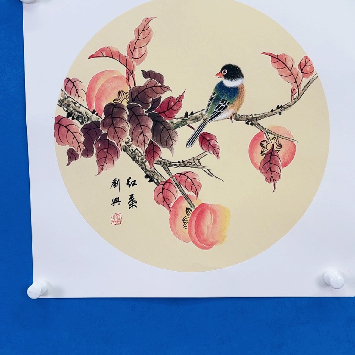 【闪购商品】绘画抖音