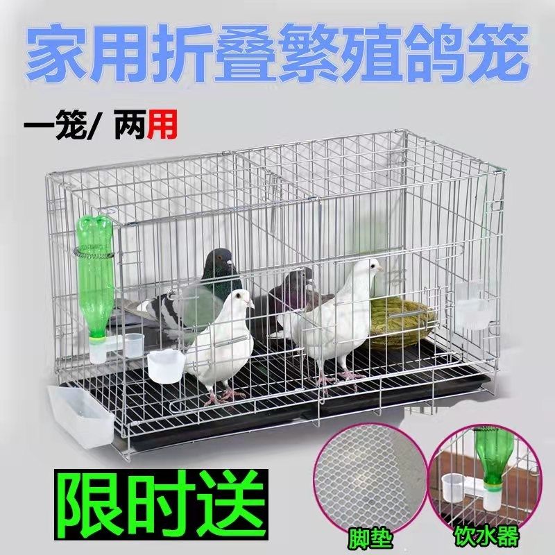 加粗鸽子笼子鸽子用品用具鸽子笼大号鸡笼家用鸽子养殖笼子