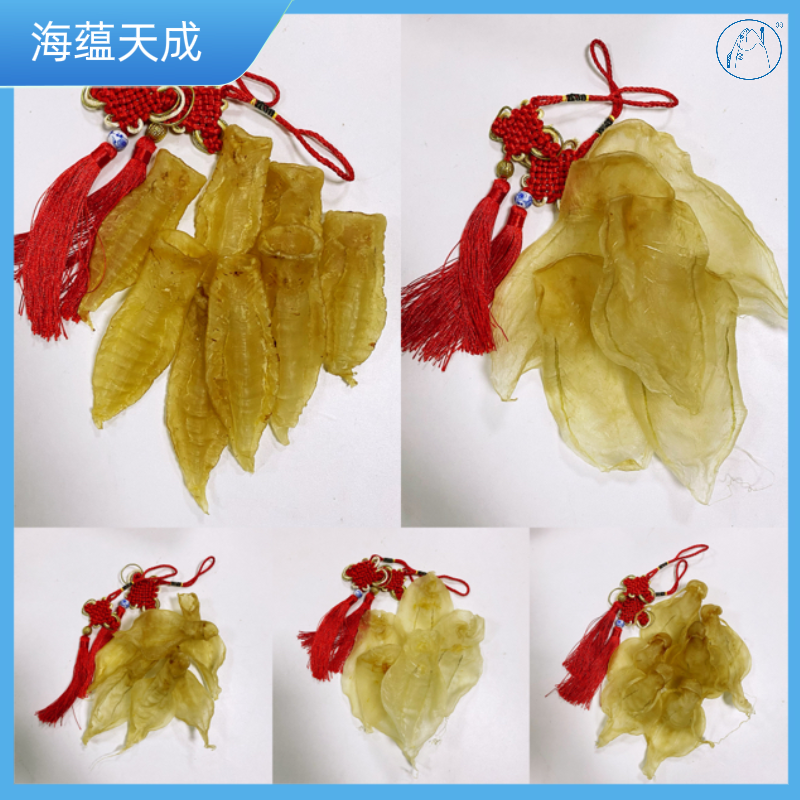 【海蕴天成】广东本港白花胶各造型各规格----临时改价链接干货类