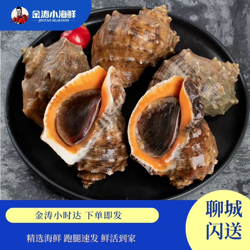 【小时达】鲜活小海螺 3斤