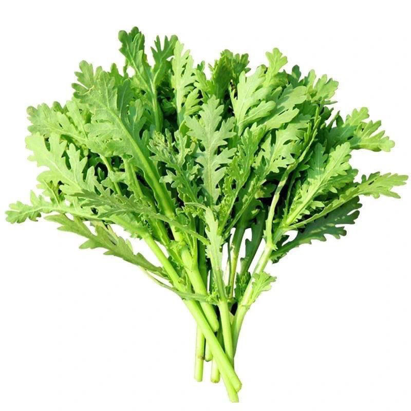 小叶茼蒿种子光杆茼蒿冬季菜春季四季播耐寒农家蔬菜秋季种皇帝菜