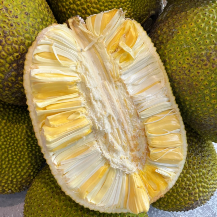 菠萝蜜一整个约10斤