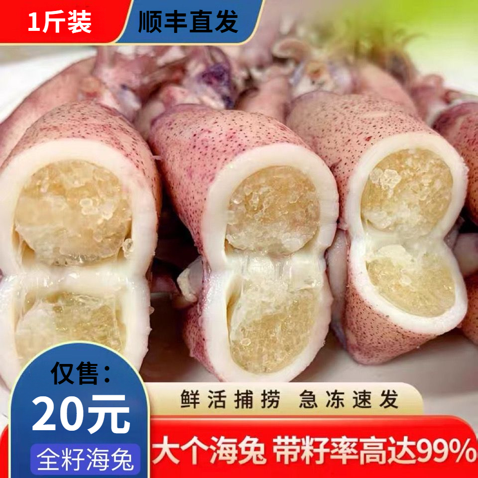 【高品质】新鲜全籽籽乌带籽海兔子满籽乌鱼笔管鱼墨鱼鱿鱼海捕批发
