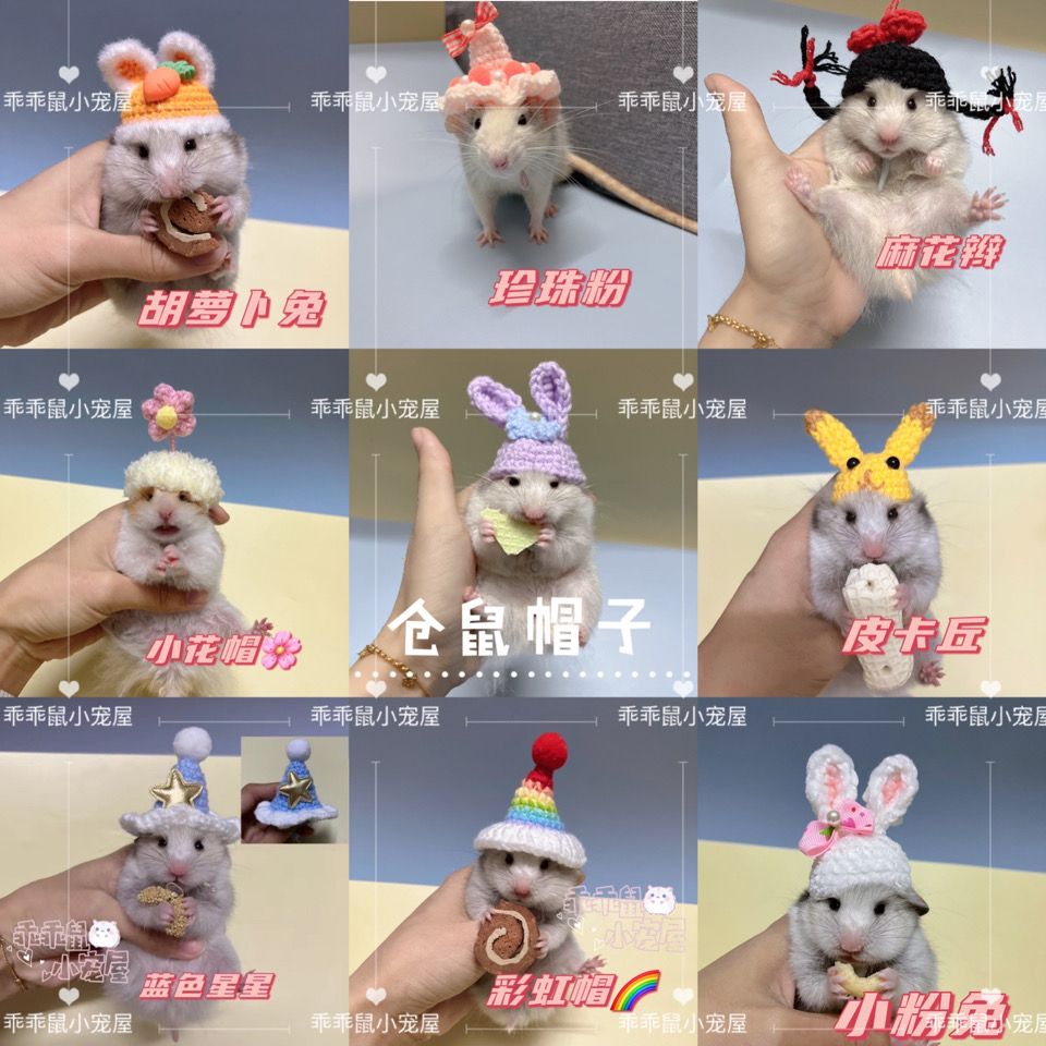 仓鼠金丝熊帽子手工毛线宠物花枝鼠可爱小帽子手工编织拍照道具