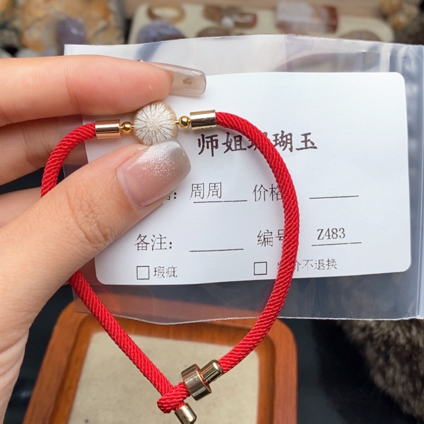 【闪购商品】硅化珊瑚（珊瑚玉）颈饰未镶嵌*️****