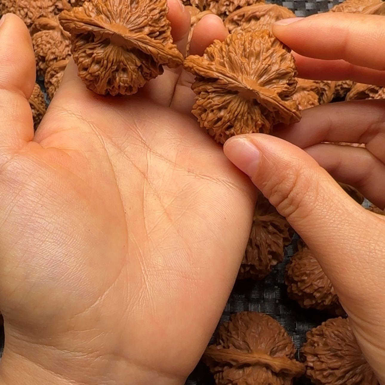 【闪购商品】桃核吊坠44全品楼子